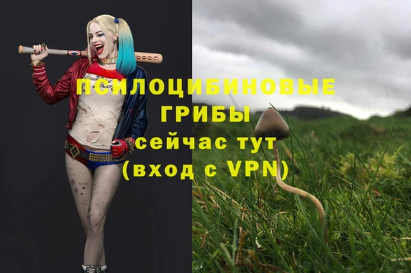 соль курить ск Наволоки